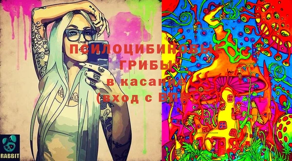 твердый Алексеевка