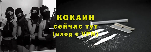 твердый Алексеевка