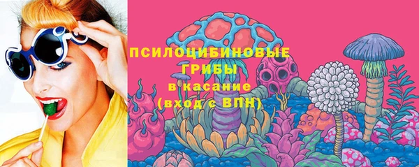 твердый Алексеевка