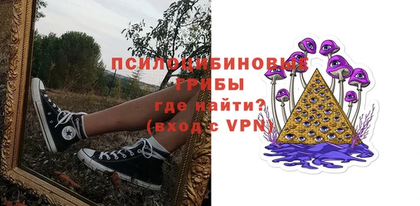 твердый Алексеевка