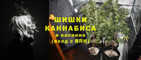 сатива Алексин
